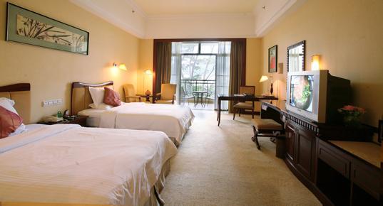 �����e�^�O��������Ƶ��O�����